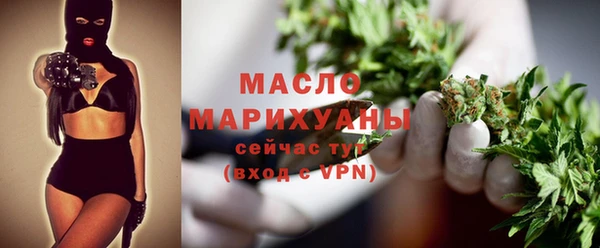 гашик Осинники