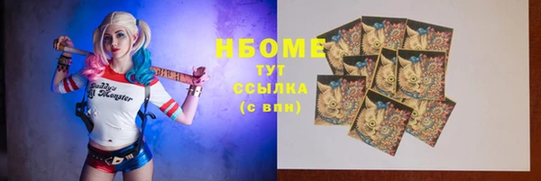 гашик Осинники