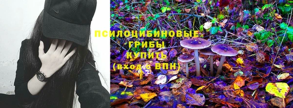 дурь Ветлуга