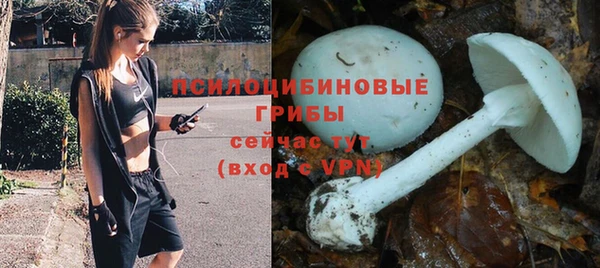 дурь Видное