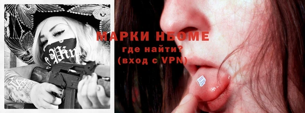 гашик Осинники