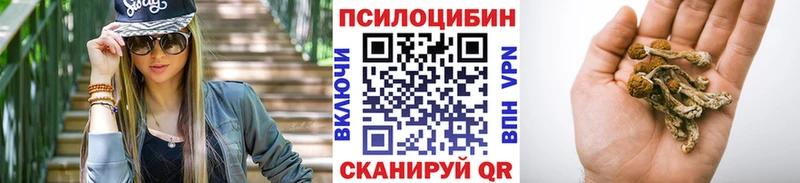 Псилоцибиновые грибы прущие грибы Лыткарино