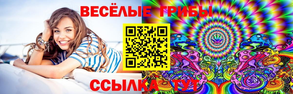 сколько стоит  Лыткарино  Псилоцибиновые грибы Magic Shrooms 