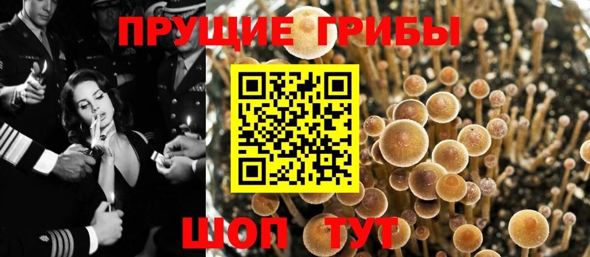 NBOMe Лыткарино